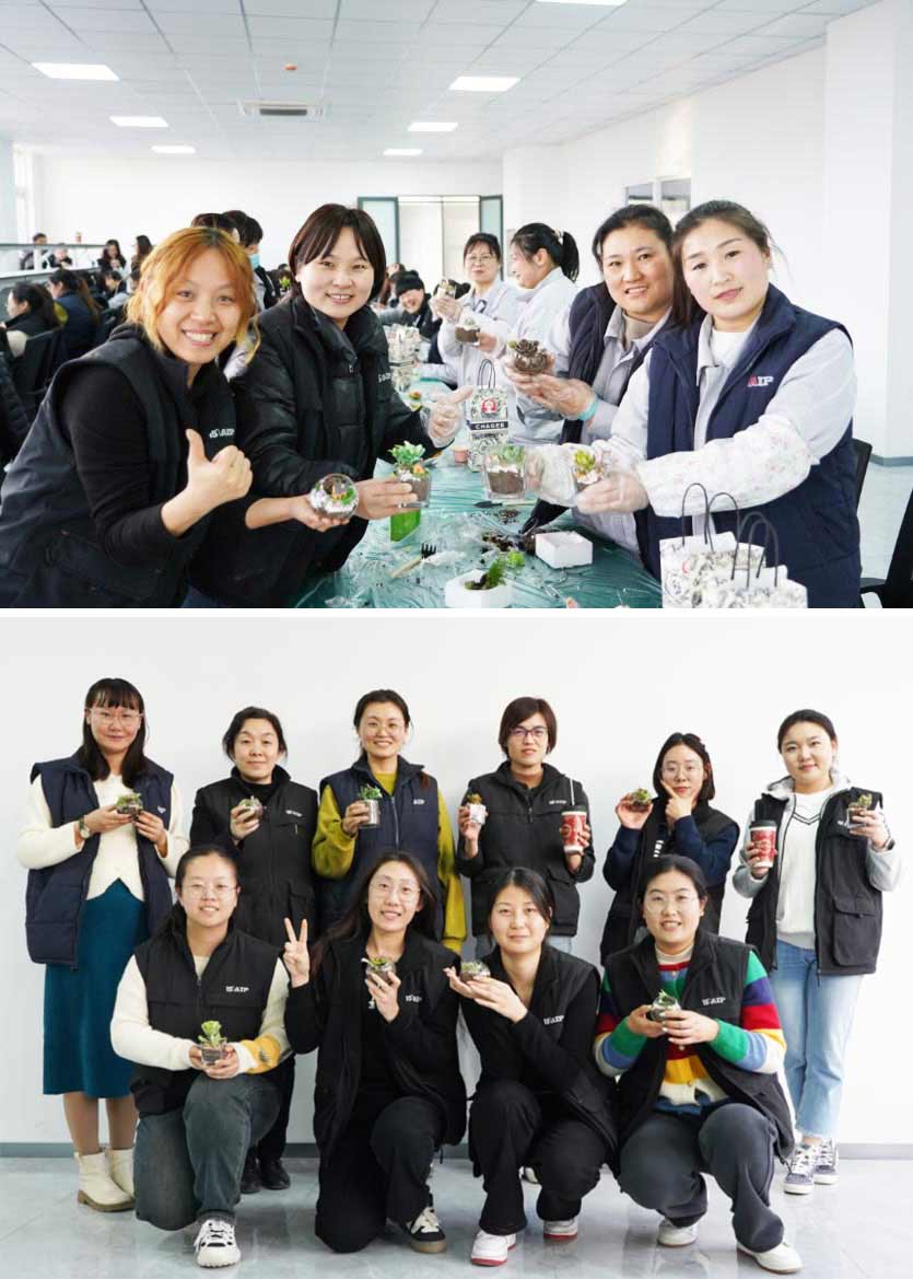 3.8 婦女節丨微景觀DIY，一起邂逅微世界里的春日—AIP艾普